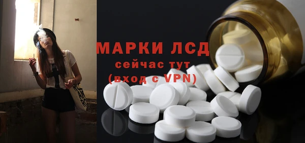 сатива Армянск