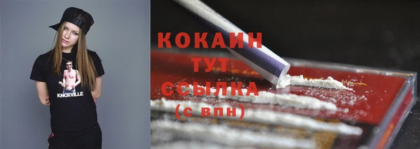 сатива Арсеньев