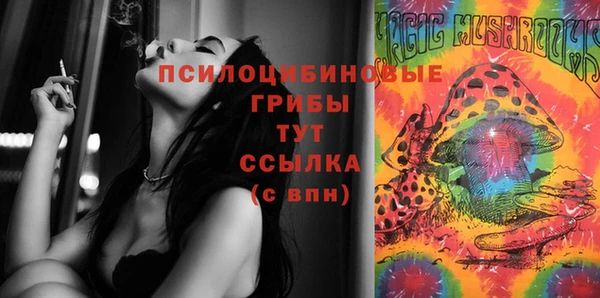 сатива Армянск