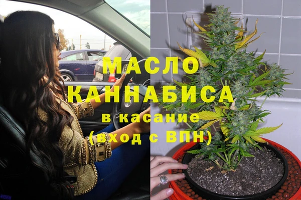 сатива Арсеньев