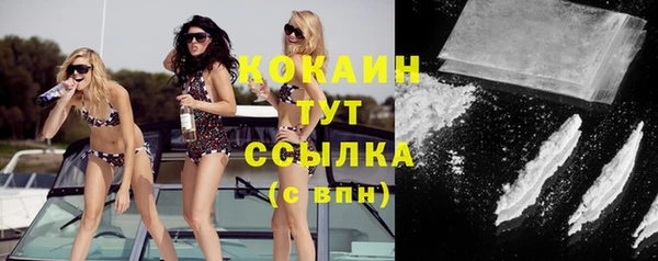 дживик Ростов